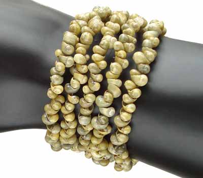 Sea Snail Shell Coil Bracelet