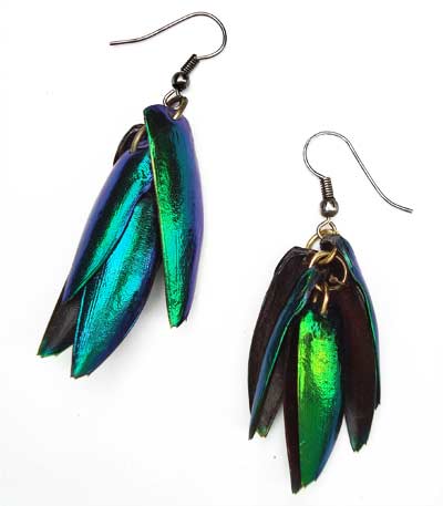 Jewel Wing Earrings - Single Cluster