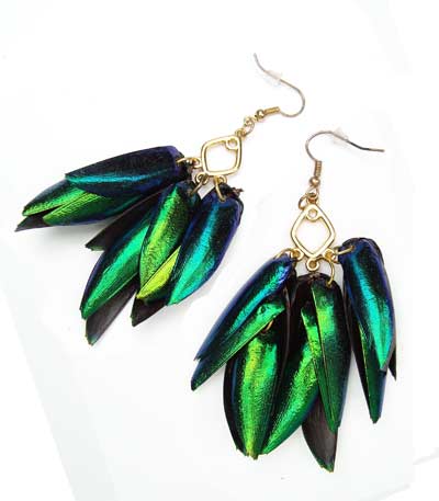 Jewel Wing Earrings